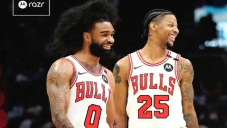 Bulls
