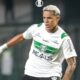 Coritiba x Remo