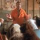 Dr. Dolittle 2