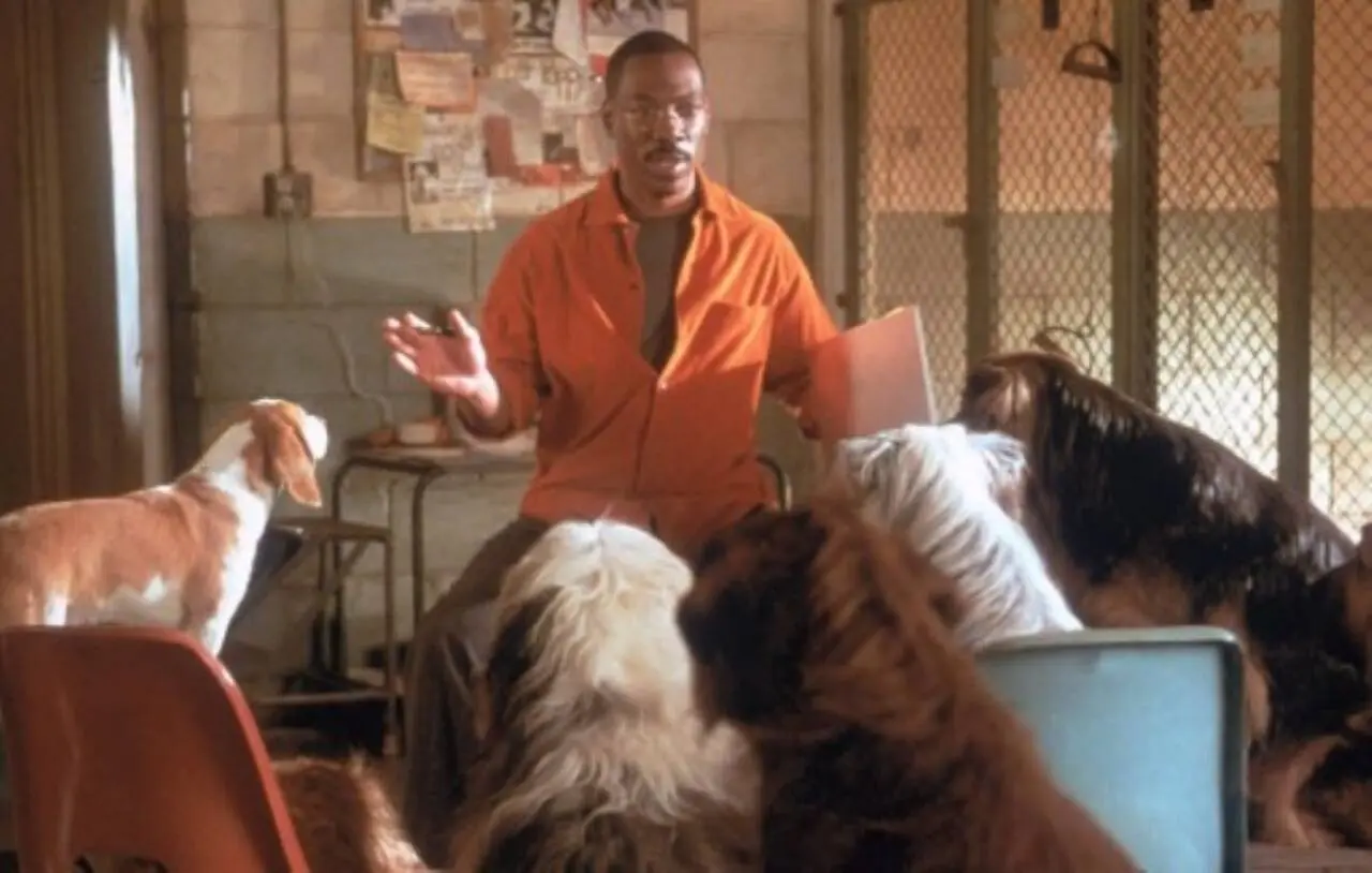 Dr. Dolittle 2