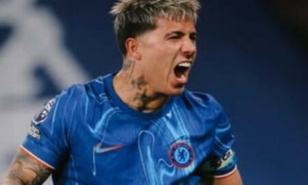 Enzo Fernandes
