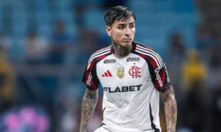 Erick Pulgar