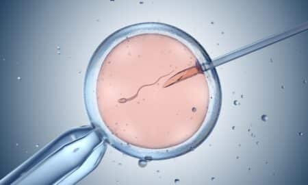 Fertilização in vitro