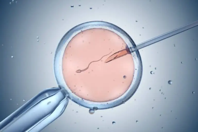 Fertilização in vitro