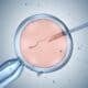 Fertilização in vitro