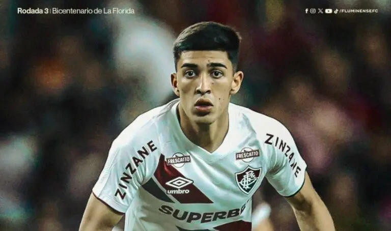 Fluminense Sul-americana