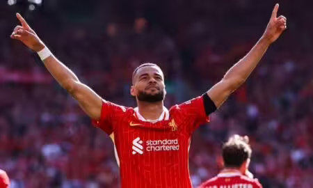 Gakpo Liverpool