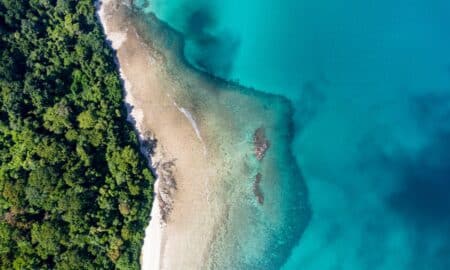 Ilha Sentinela do Norte