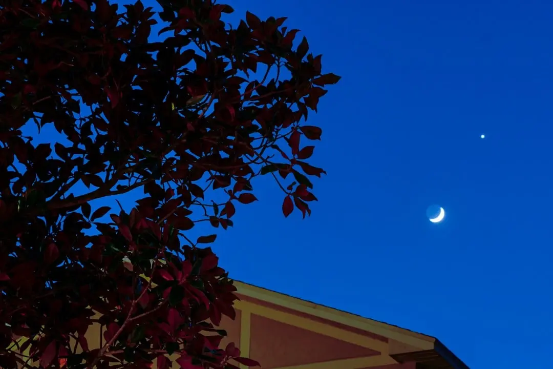 Lua Nova