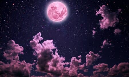 Lua rosa