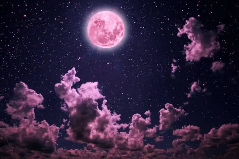 Lua rosa