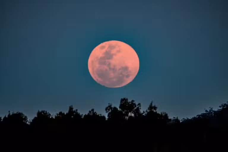 Lua Rosa