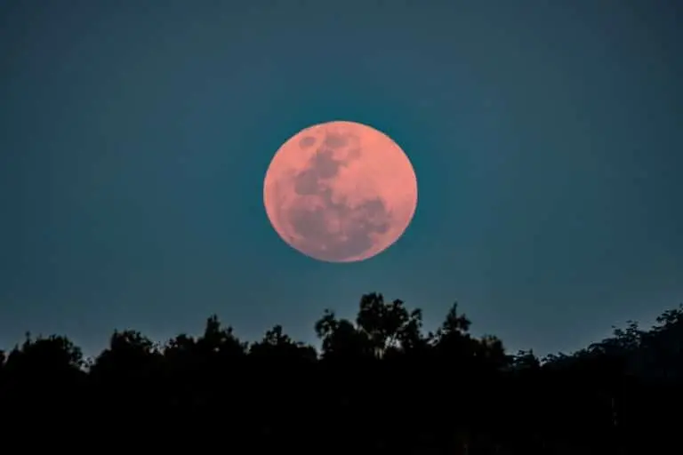 Lua Rosa