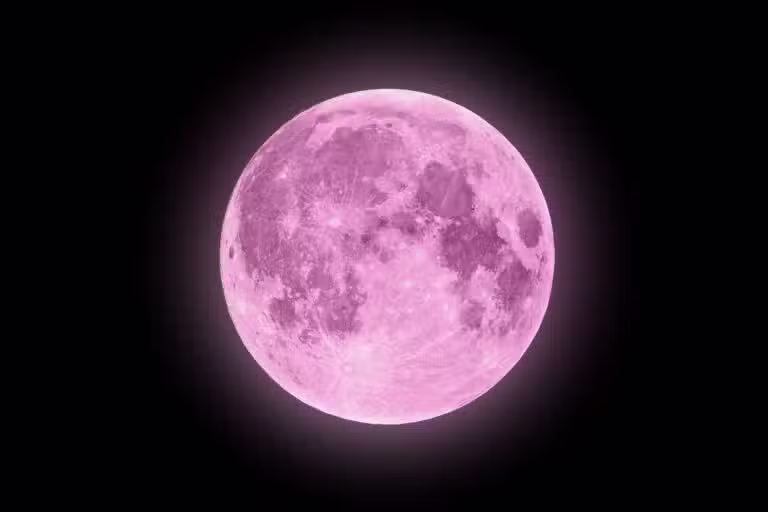 Lua rosa