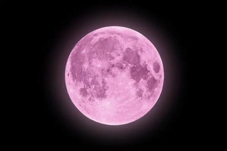 Lua rosa