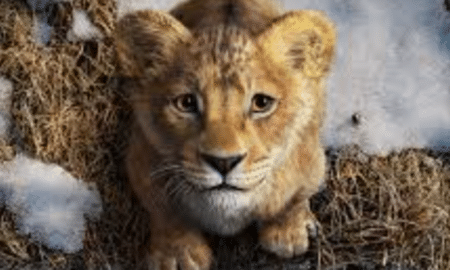 Mufasa