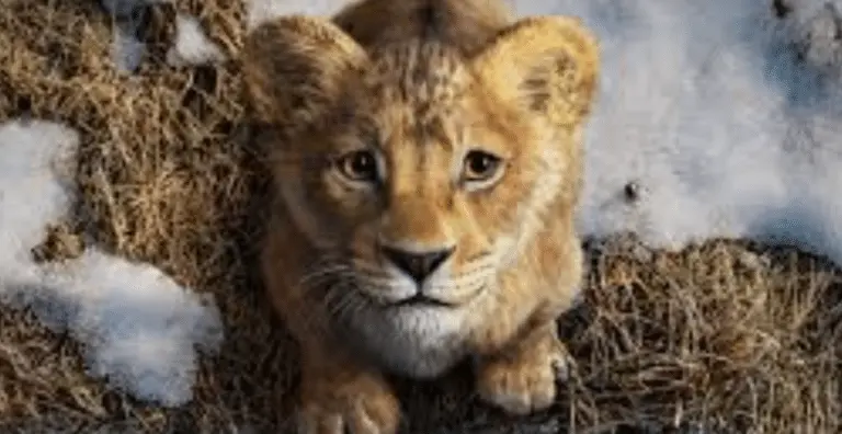 Mufasa
