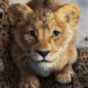 Mufasa