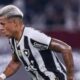 Matheus Martins Botafogo