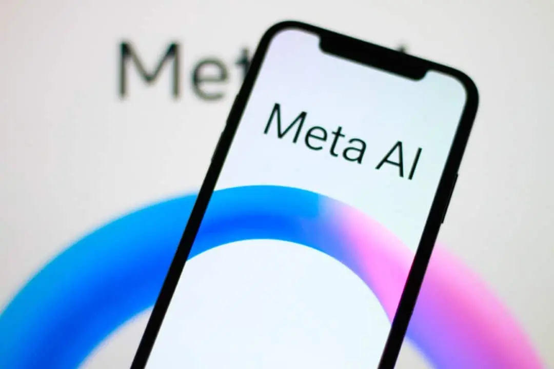 Meta
