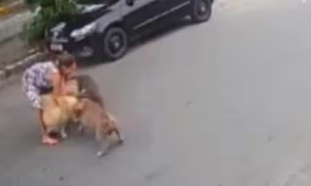 Mulher grávida cai ao tentar proteger a si e cachorro de outros 2 cães