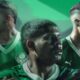 Palmeiras base