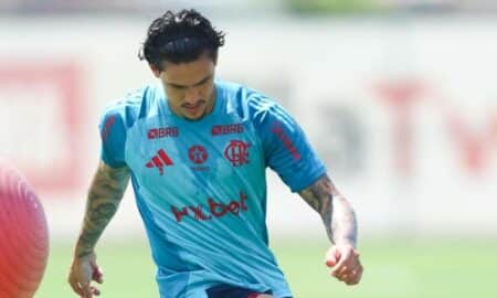 Pedro flamengo