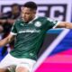 Sociedade Esportiva Palmeiras