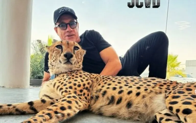 Van Damme