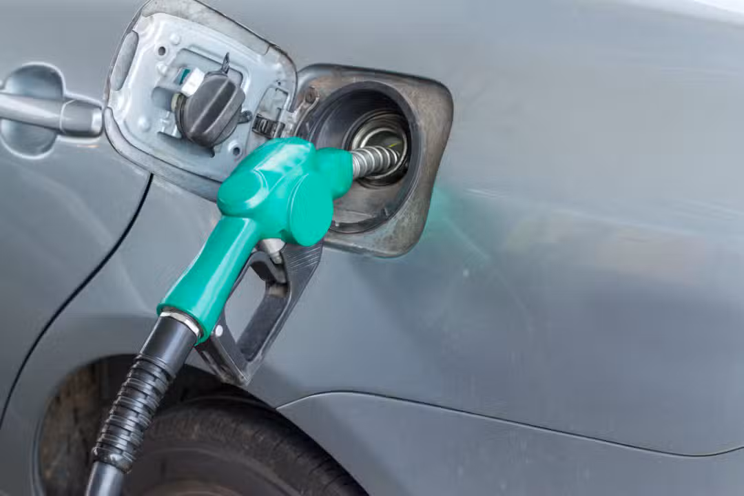 gasolina