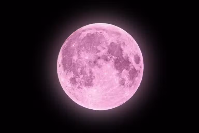 Lua Rosa