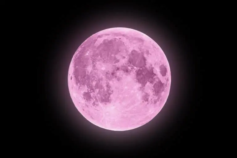 Lua Rosa