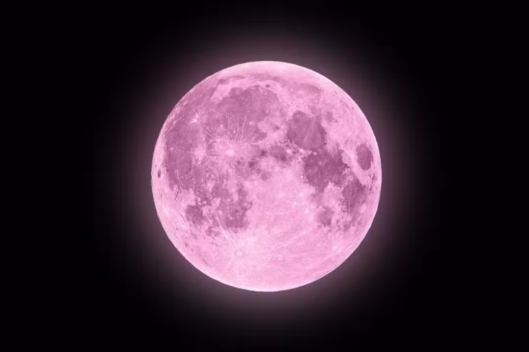 Lua Rosa
