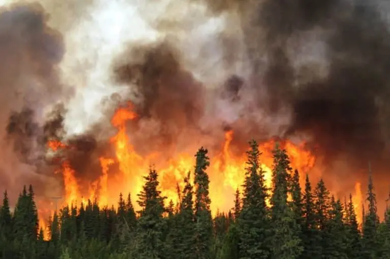 wildfire