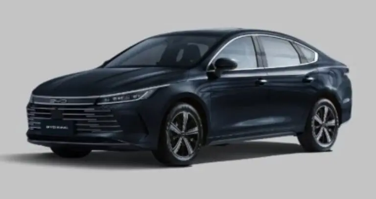 BYD King