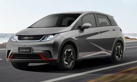 Byd Dolphin