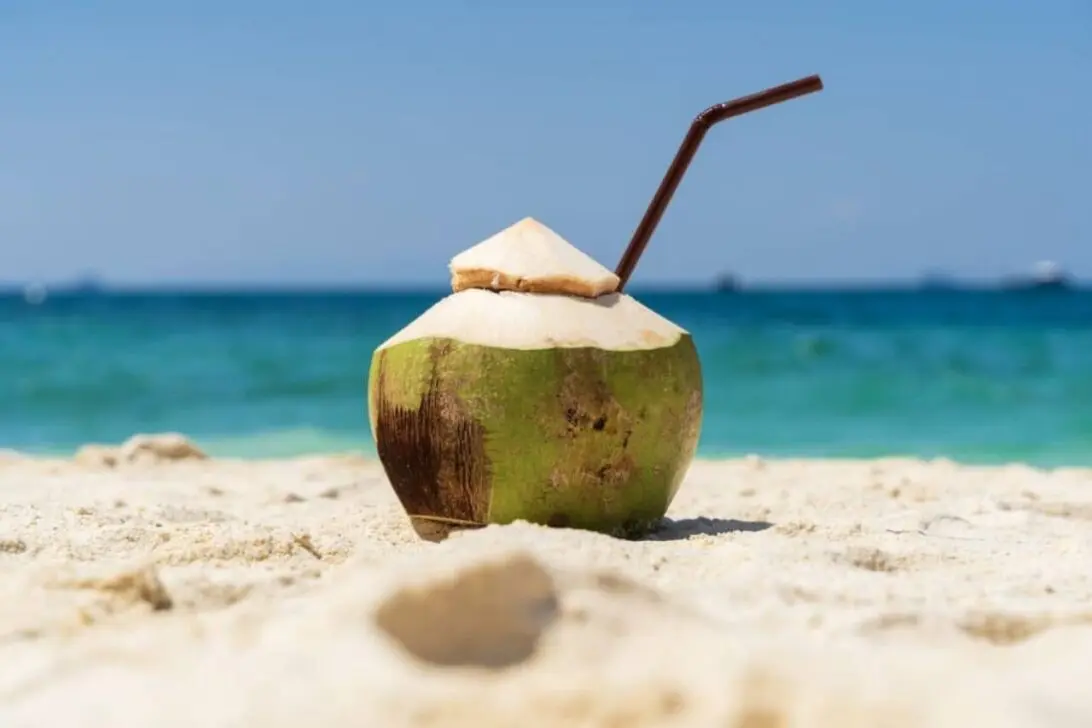Air kelapa menjadi terkenal sebagai isotonik semula jadi dalam penghidratan musim panas