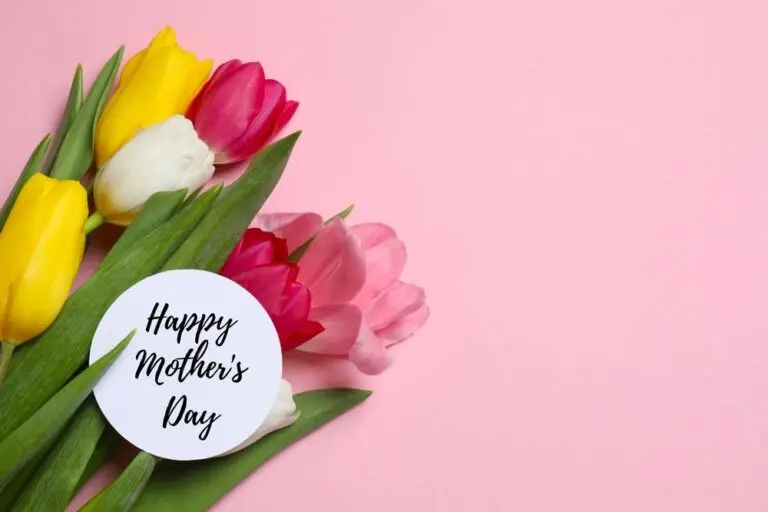 Dia das Mães