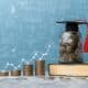 Educação financeira