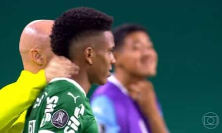 Estevao palmeiras
