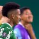 Estevao palmeiras