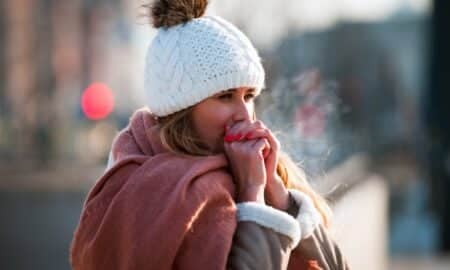 Frio Geada