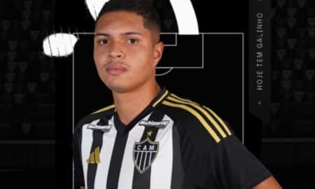 Galo na Base