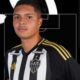 Galo na Base