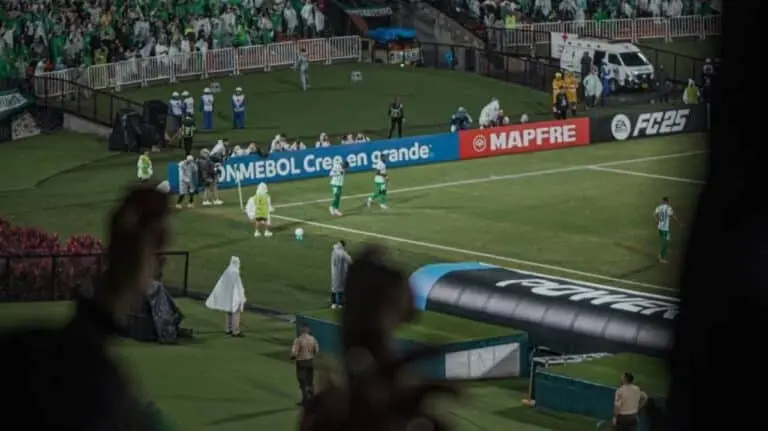 Gol Viveros