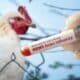 Gripe aviária H5N1