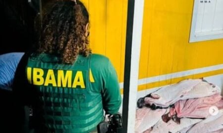 Ibama