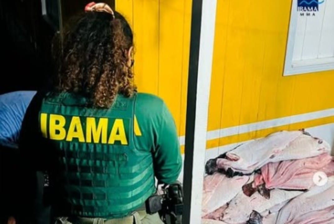 Ibama