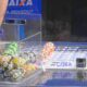 LOterias Caixa 31 de maio de 2025 resultados