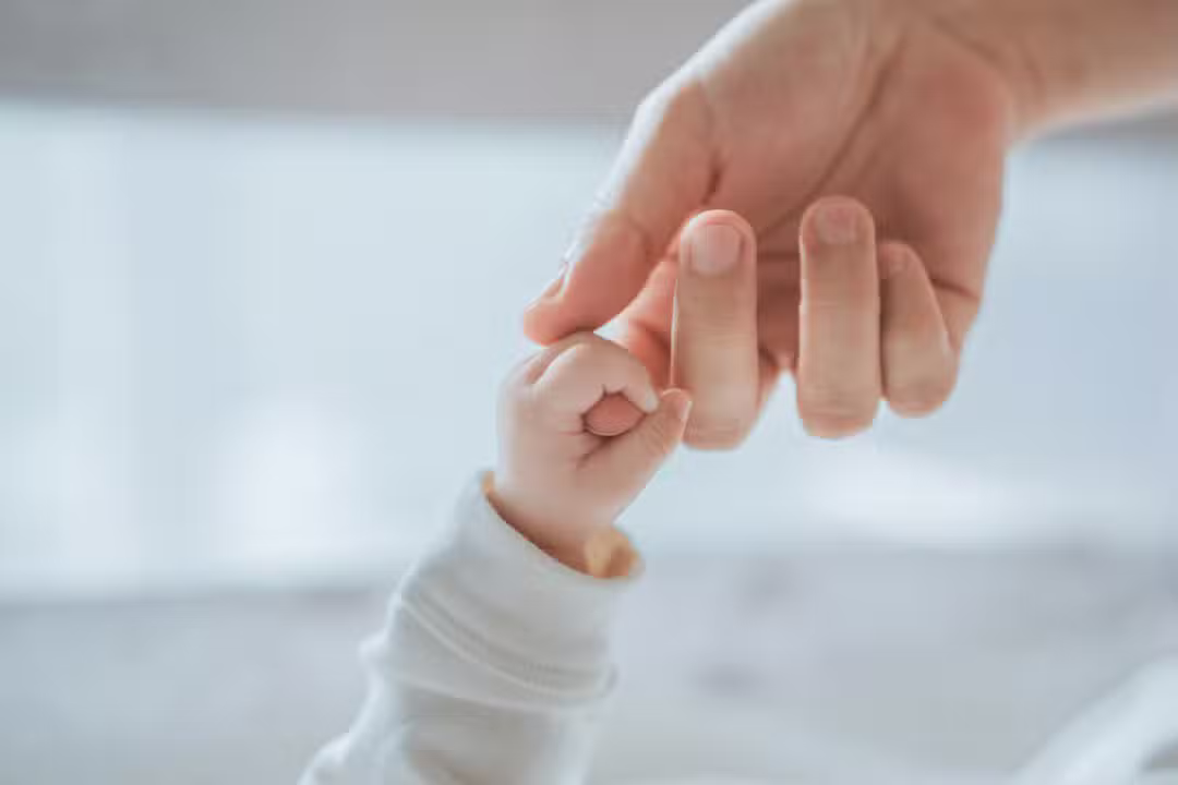 Licença Maternidade